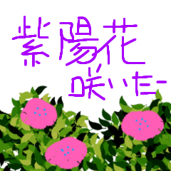 Ajisai,miniiko