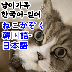 Cat Family Korean  -Japanese