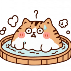 Bath Cat Confused,