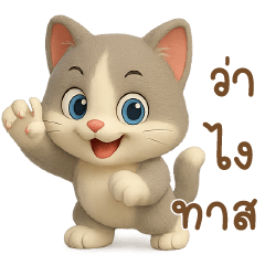 Meaw Grey cat