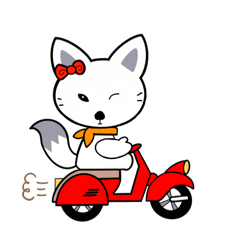 小さなホッキョクギツネ