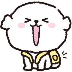 Bichon chu 19