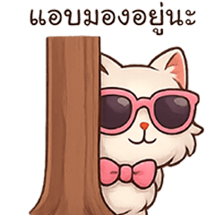 นุ่มฟู : แมวน้อยจอมซน