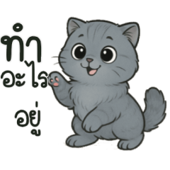 เกรย์เเมวน่ารัก:ใช้ได้ทุกวัน