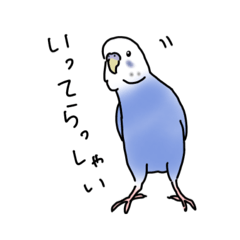 セキセイインコの可愛い1日（ブルー）