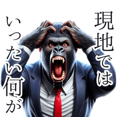 Gorilla x Newscaster! 3D Real!