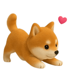 *Move! Cute Mame Shiba(TWN)