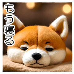 Small mischievous Shiba Inu