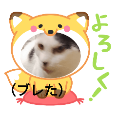 hiroki_20250527203848