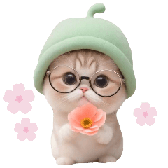cute meron cat animation Sticker