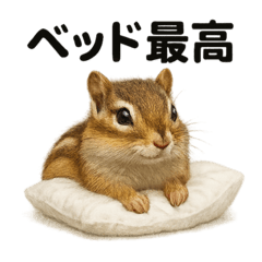 MINA_20250527205632 – LINE stickers | LINE STORE