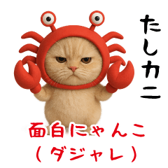 Funny cat(Pun)