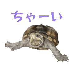 Charun_20250527215619