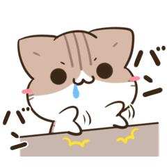 moving unmotivated calico cat gourmet2