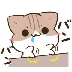 moving unmotivated calico cat gourmet2