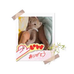 hiro_20250528081949