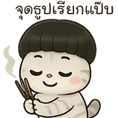 กะลา : แมวน้อยจอมซน