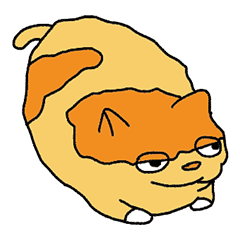 ＊菸貓講話▂ξ＊橘貓很胖