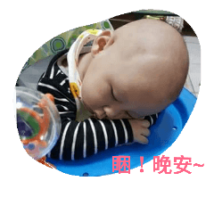 wing20170412