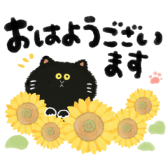 kurumushi cats11