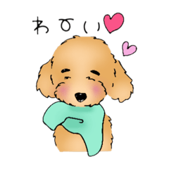 ハッピーわんこ！癒しのトイプードル
