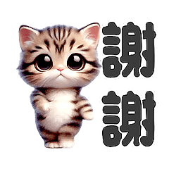 動感舞星 - 超萌虎斑貓 (HD)