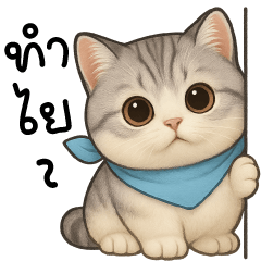 ฮารุ แมวอ้วน น่ารัก