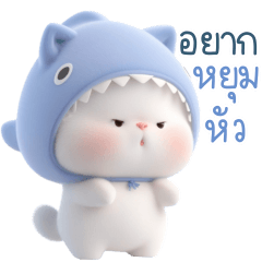 โนวา แมวขาวหมวกฉลาม 1_40