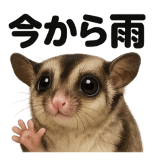 MINA_20250528202728 – LINE stickers | LINE STORE