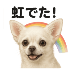 MINA_20250528203254 – LINE stickers | LINE STORE