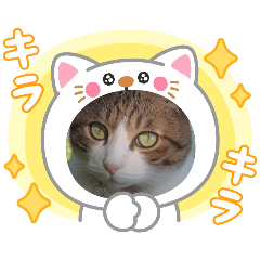 可愛いレオ君の挨拶スタンプ