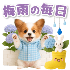 大人可愛いパピヨンで梅雨の気づかい敬語