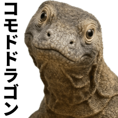 A large photo of a Komodo dragon
