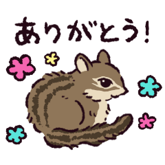 squirrel!?