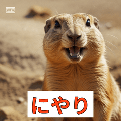 Prairie Dog Stickers