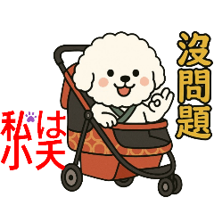 small_20250528202207