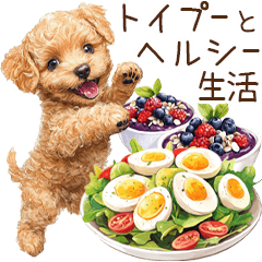 Healthy Life with Toy Poodle