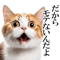 *Cat's feelings 2
