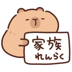 Yasasii capybara family contact