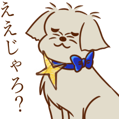 パーティー！おのみちわんこ　てるき