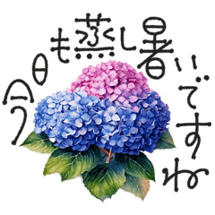 Adult greetings Rainy season to summer