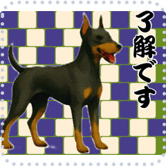 犬の メッセージ スタンプ 96