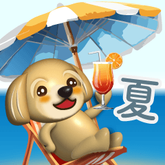 3D Marukko Maltipoo summer