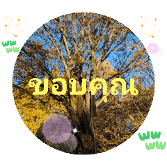 Daily GreetingsAdvancement of society an