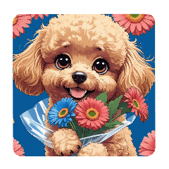 minineko_20250528151703