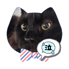 [Free] Free cute daily stamps!