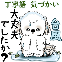 Shih tzu 2025 (polite language)