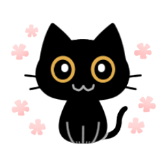 Black cat Rin Rin