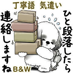 B&W Shih tzu 2025 (polite language)