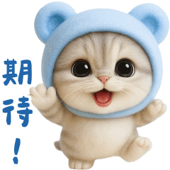 軟萌貓貓好期待